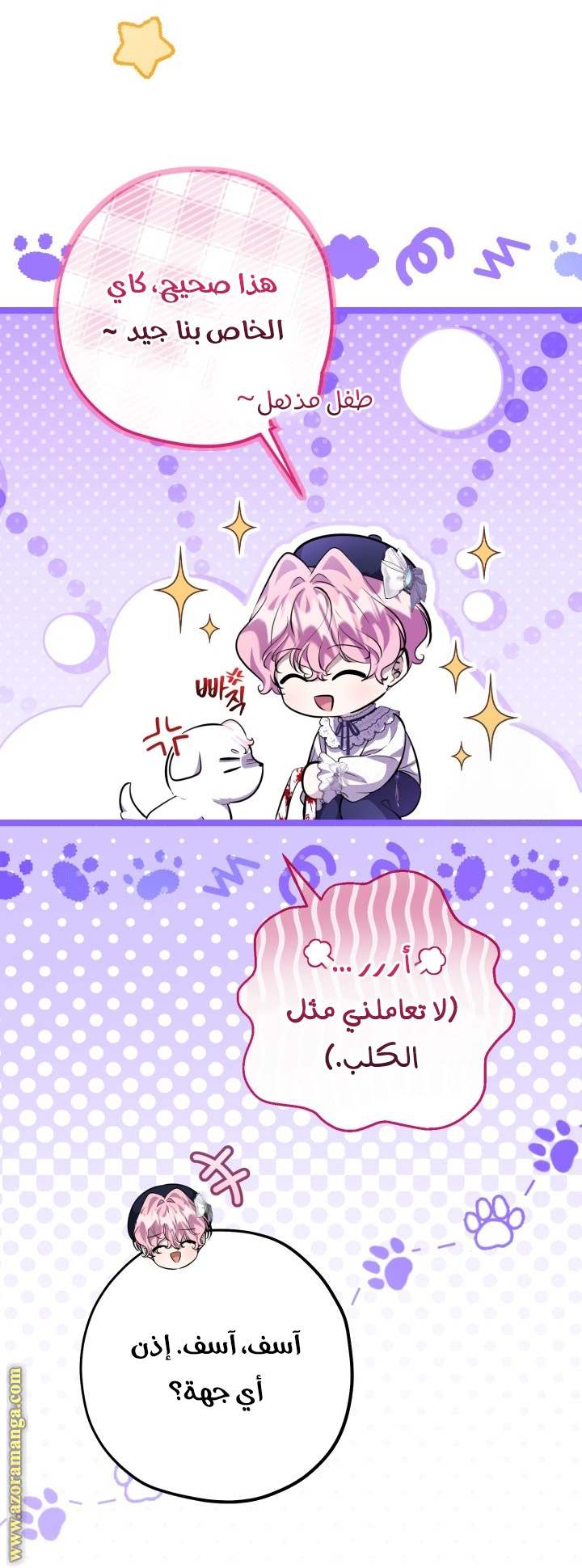 الصفحة 21