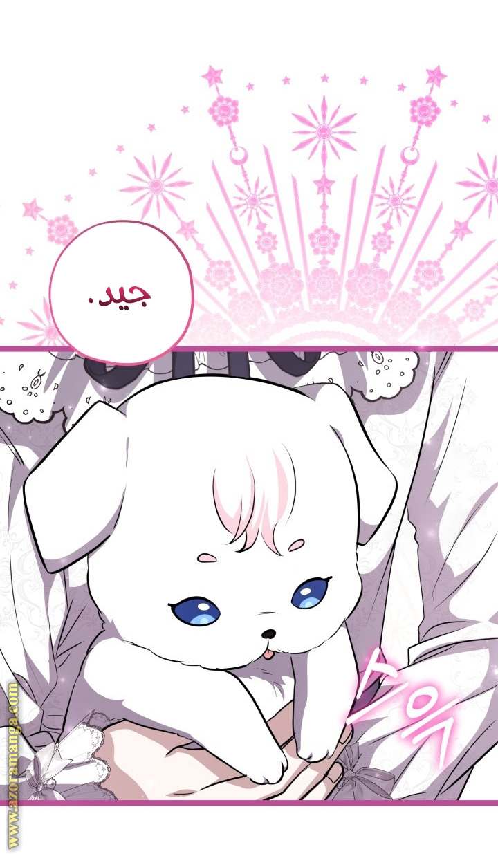 الصفحة 23