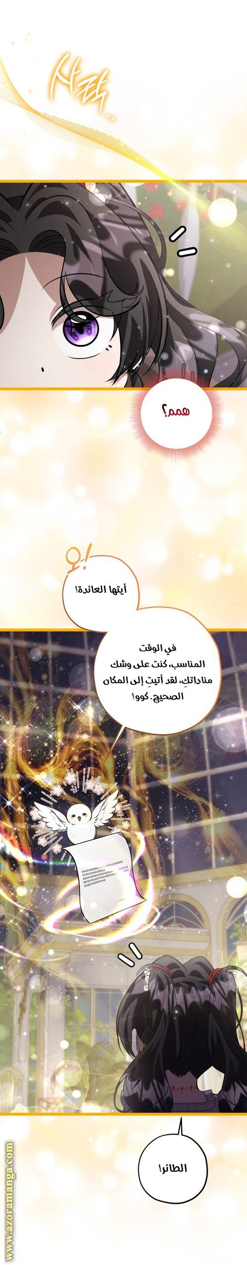 الصفحة 20