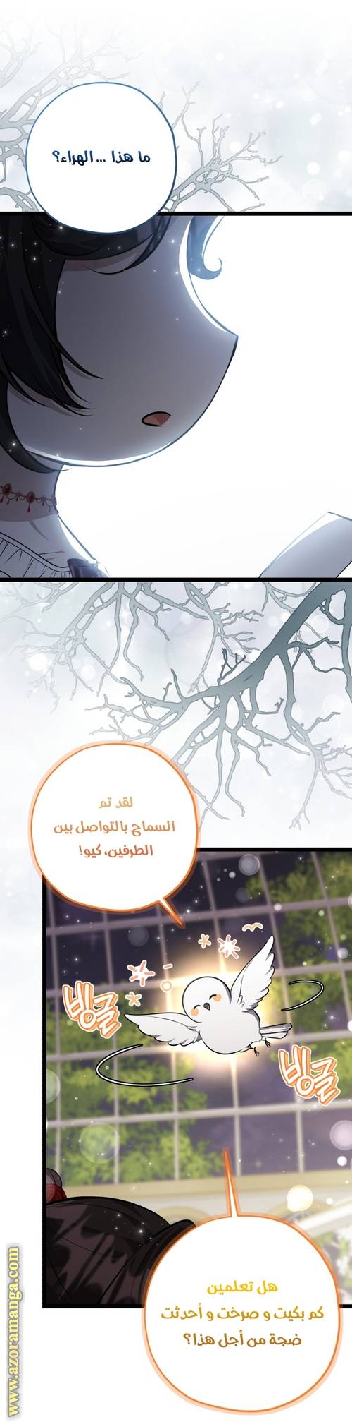 الصفحة 25