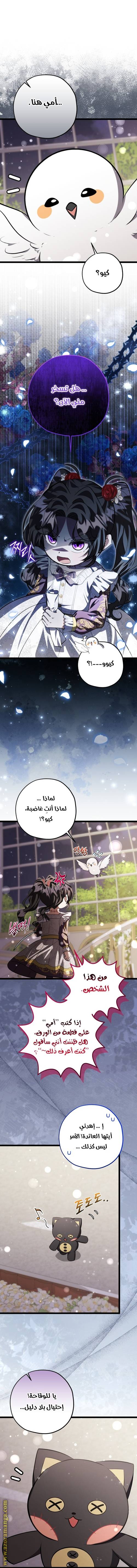 الصفحة 26