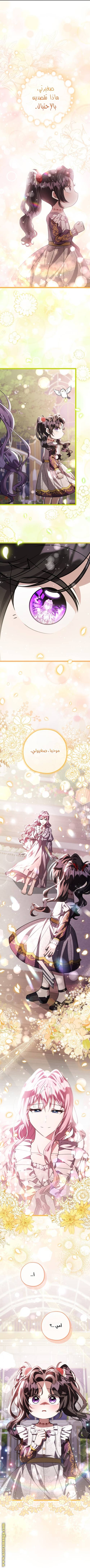 الصفحة 27