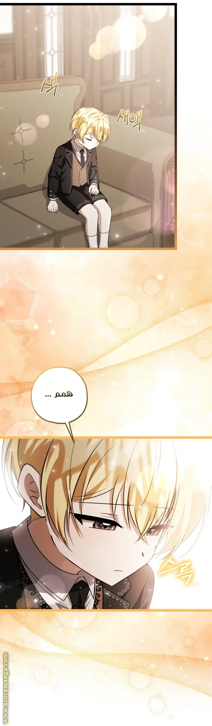 الصفحة 13