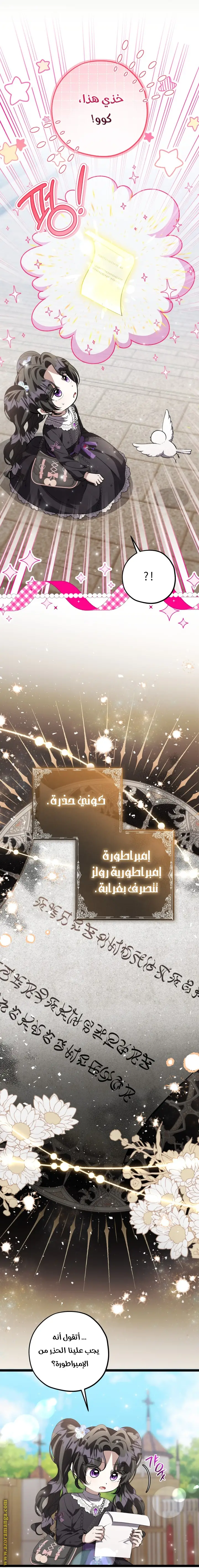 الصفحة 17