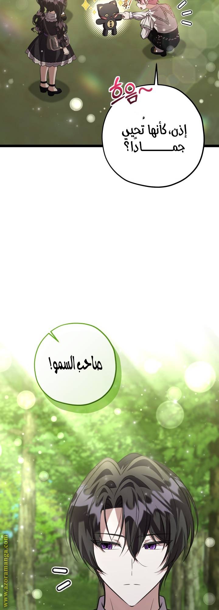 الصفحة 29