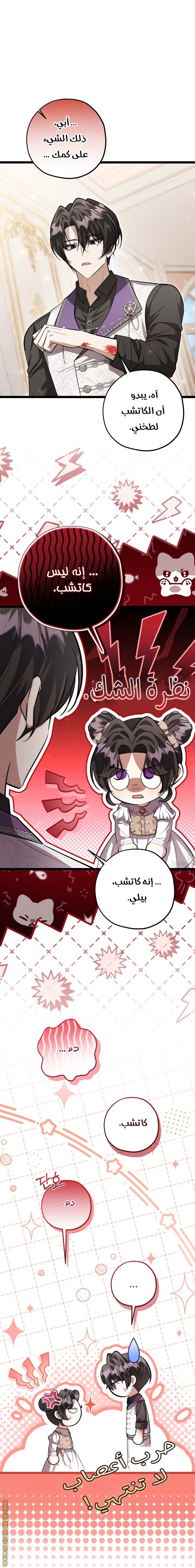 الصفحة 11