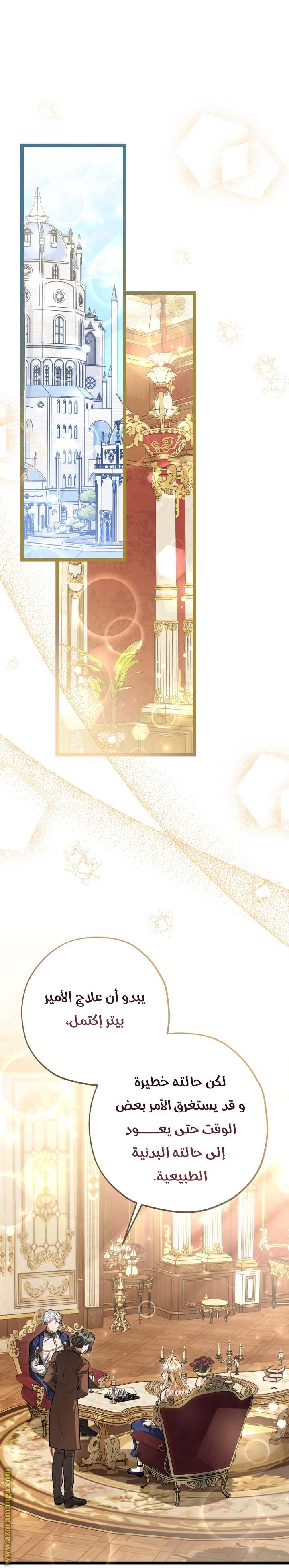 الصفحة 17