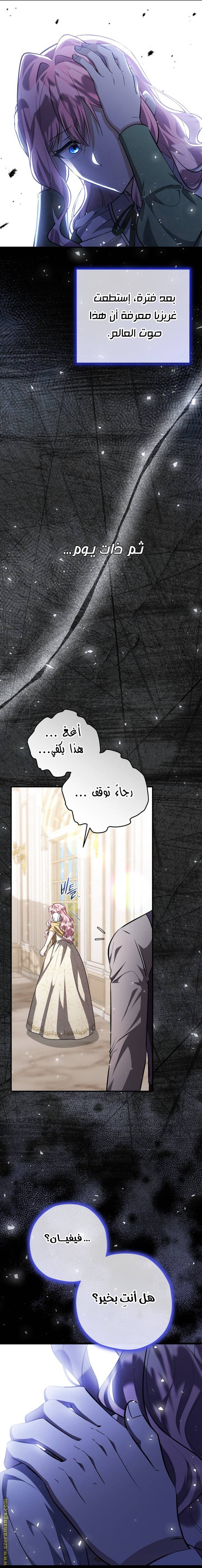 الصفحة 13