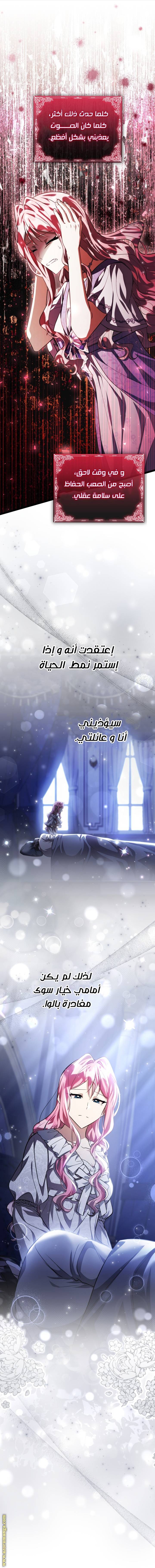 الصفحة 17