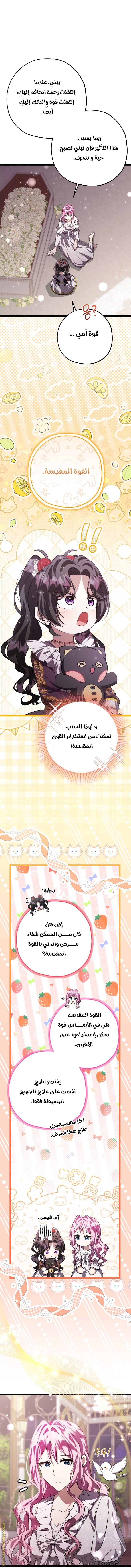 الصفحة 24