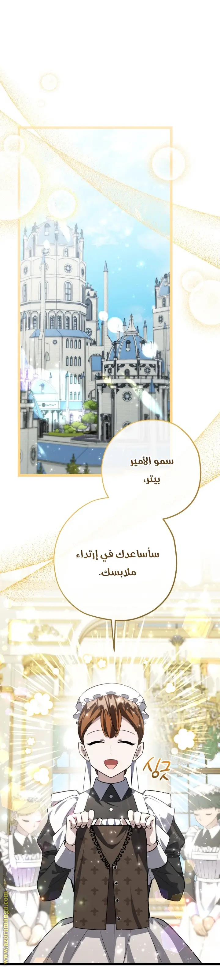 الصفحة 17