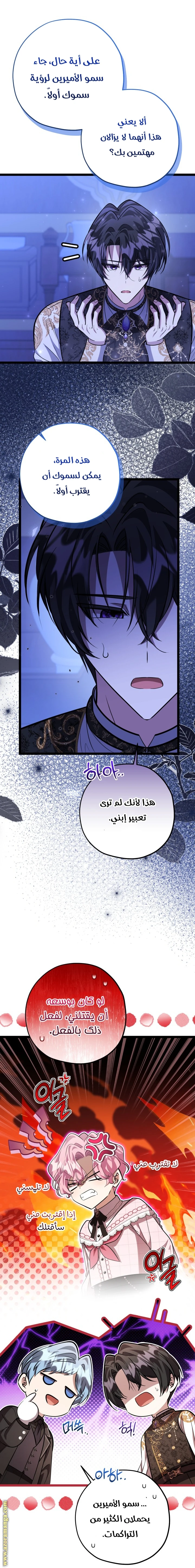 الصفحة 19
