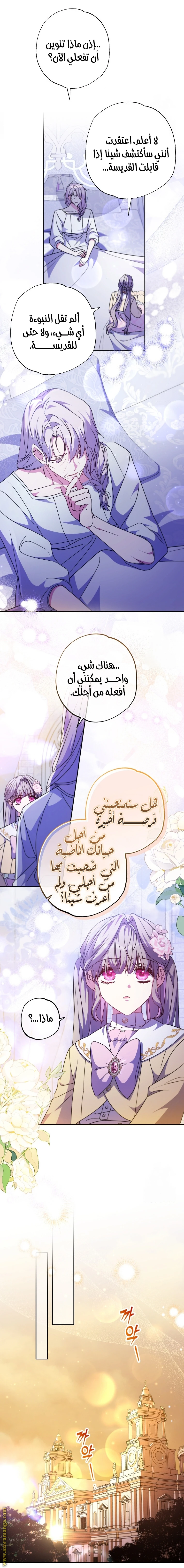الصفحة 12