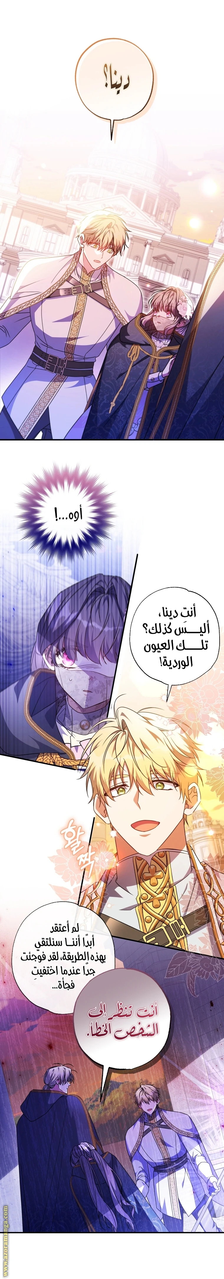 الصفحة 12
