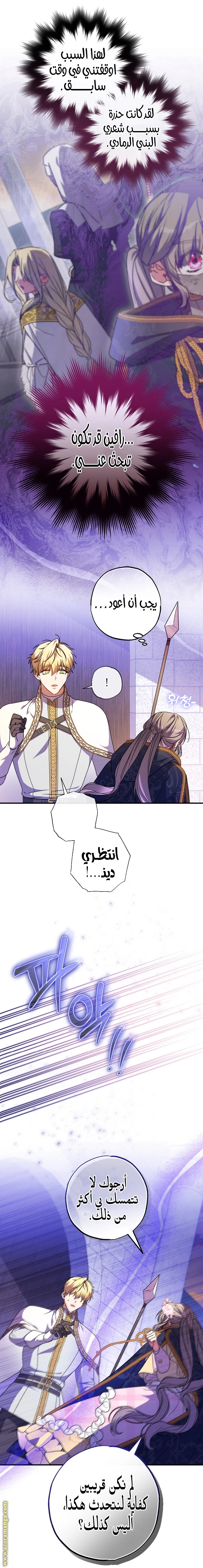الصفحة 17