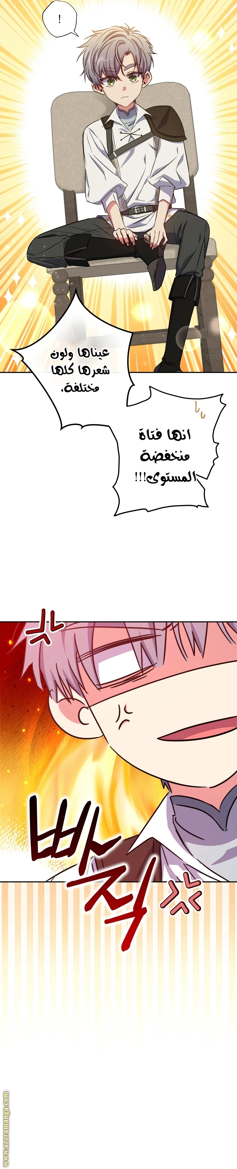 الصفحة 13