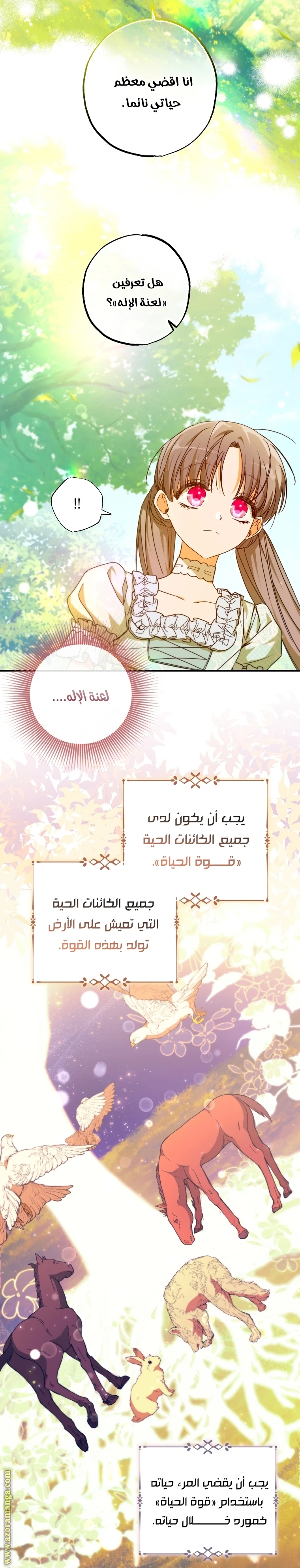 الصفحة 17