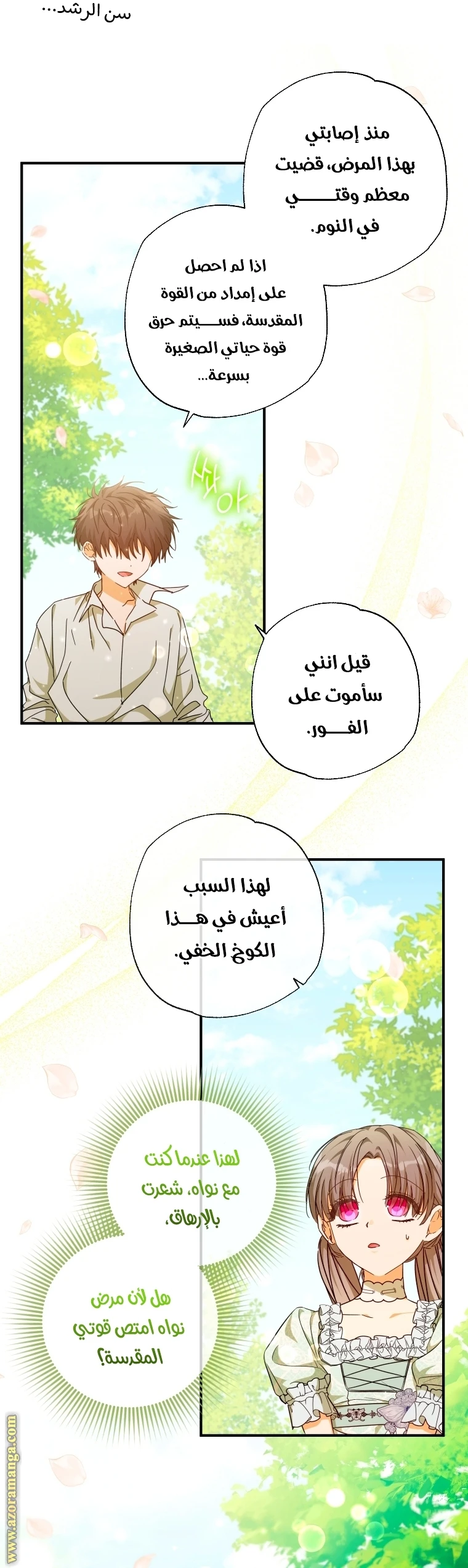 الصفحة 19