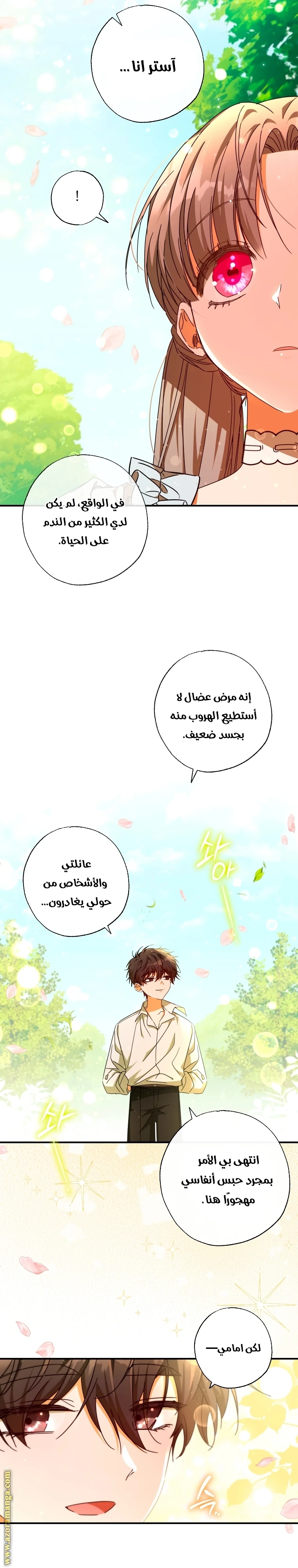 الصفحة 20