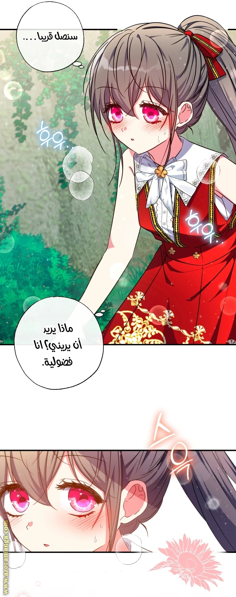 الصفحة 13