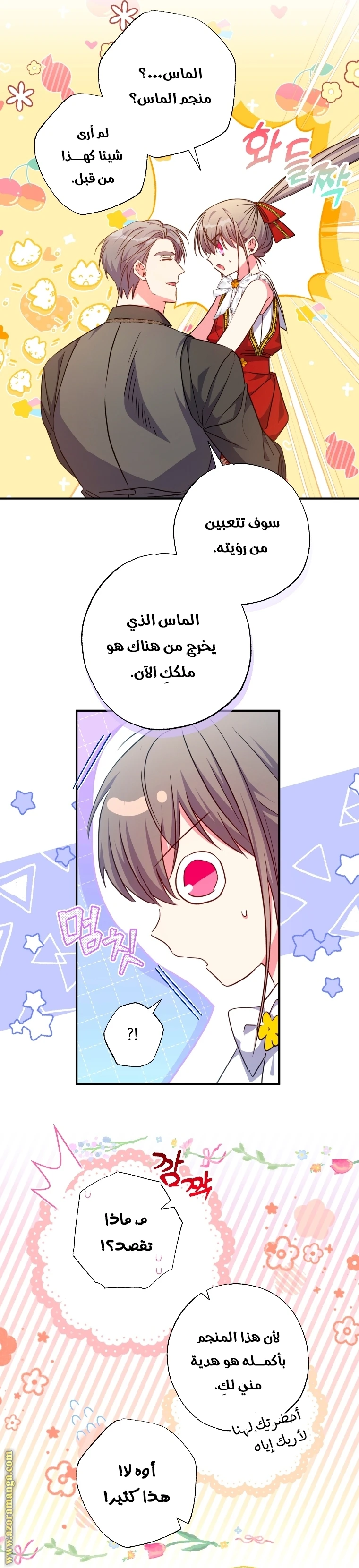 الصفحة 17