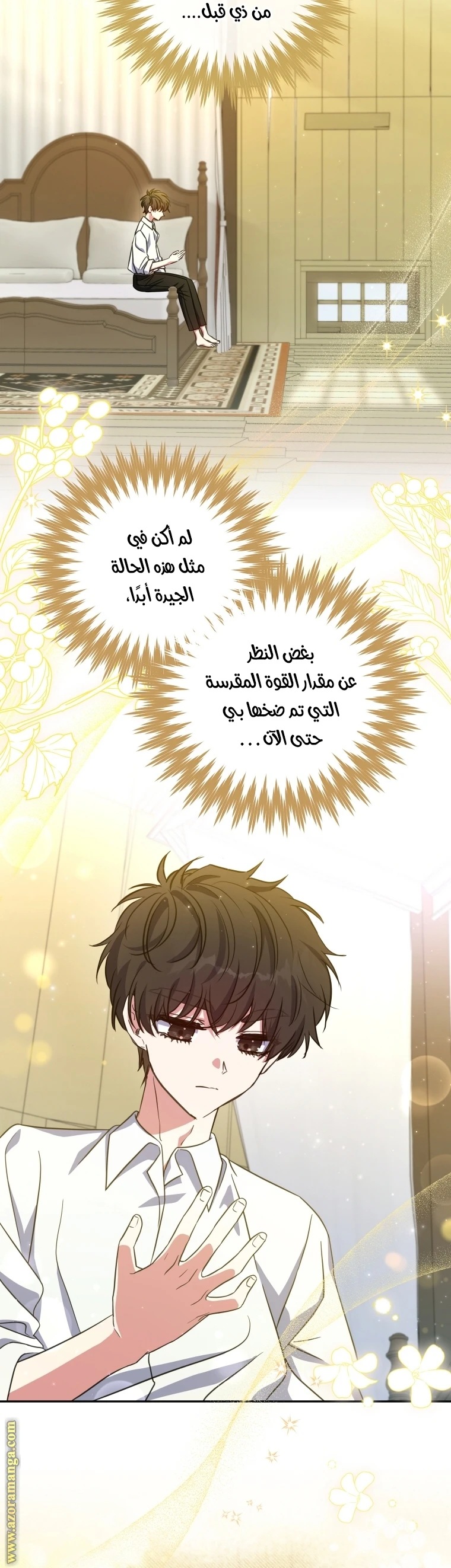 الصفحة 19