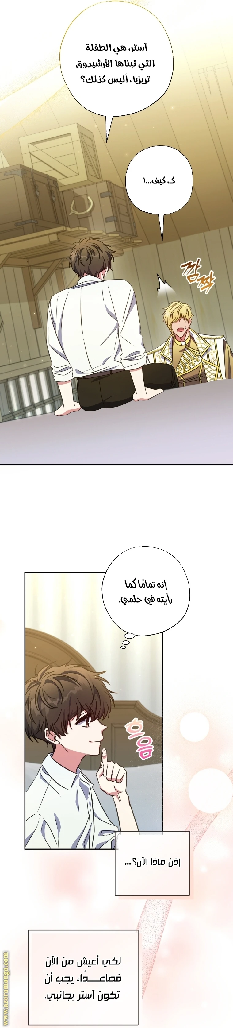 الصفحة 26