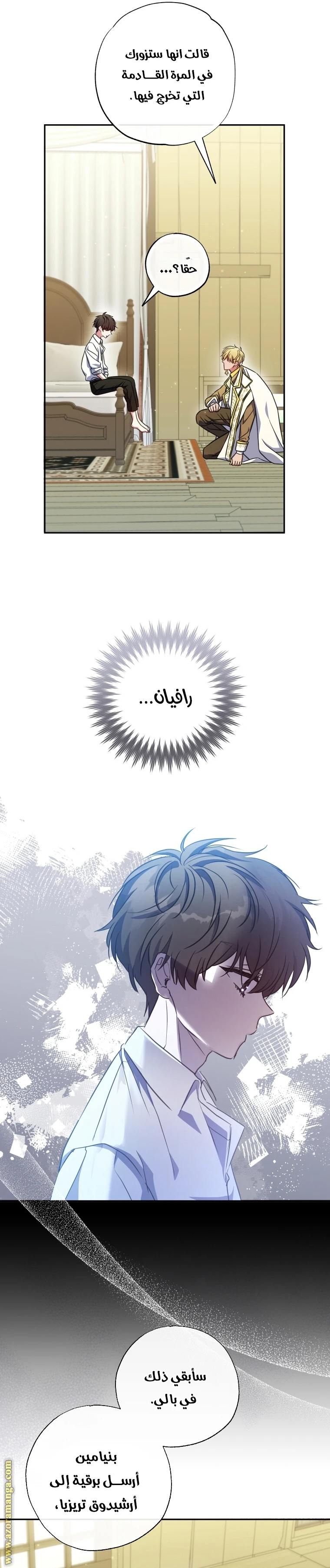الصفحة 29