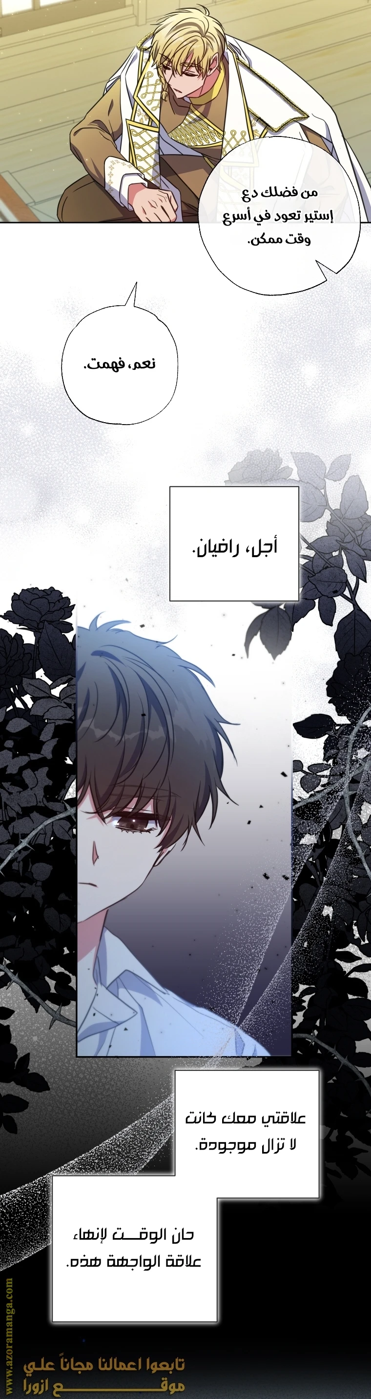 الصفحة 30