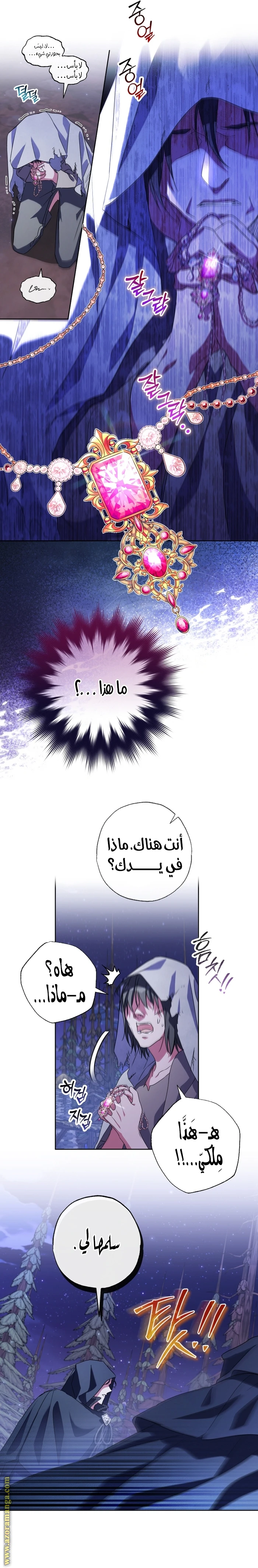 الصفحة 16
