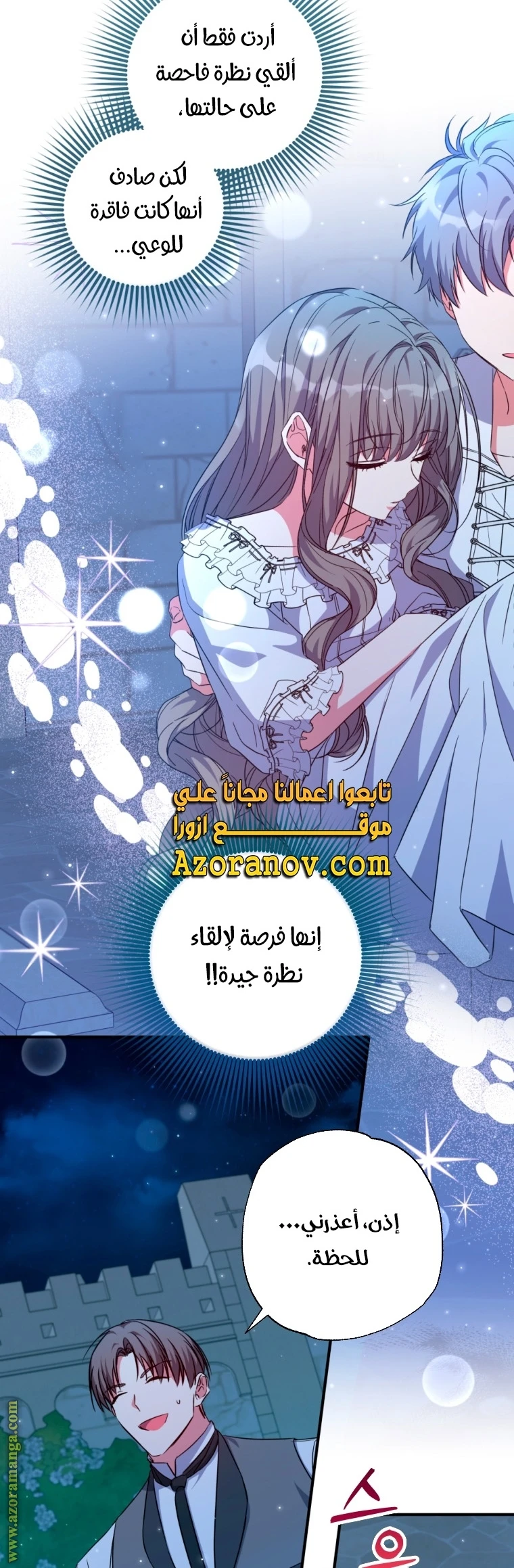 الصفحة 25