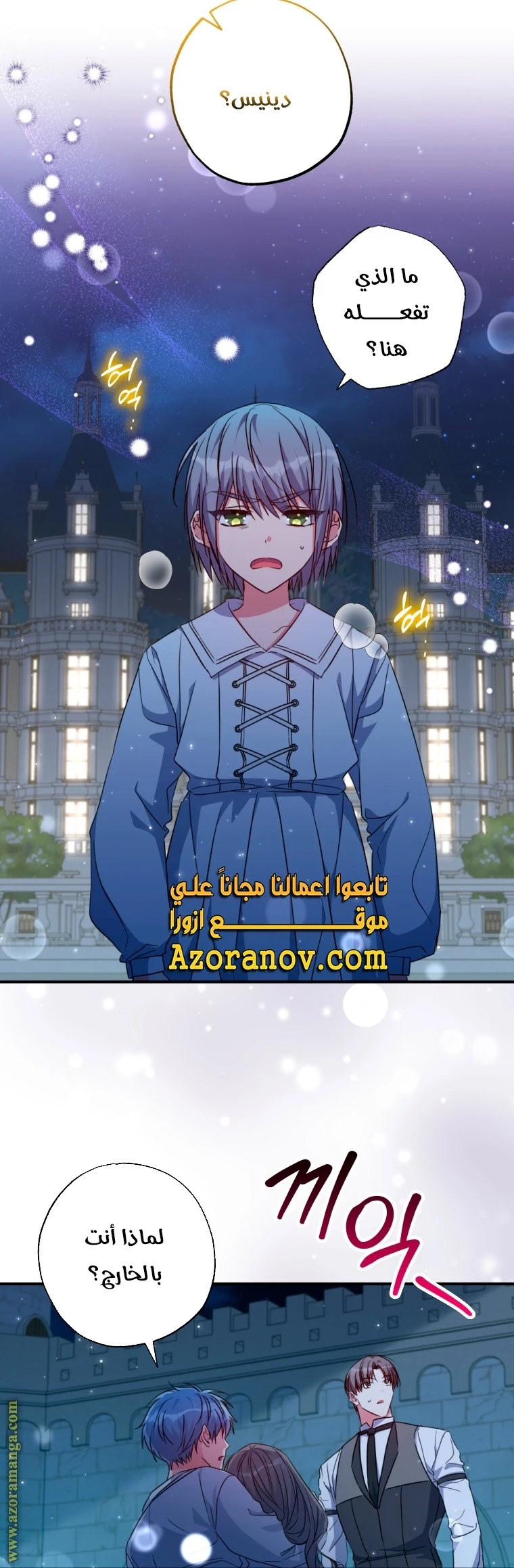 الصفحة 27