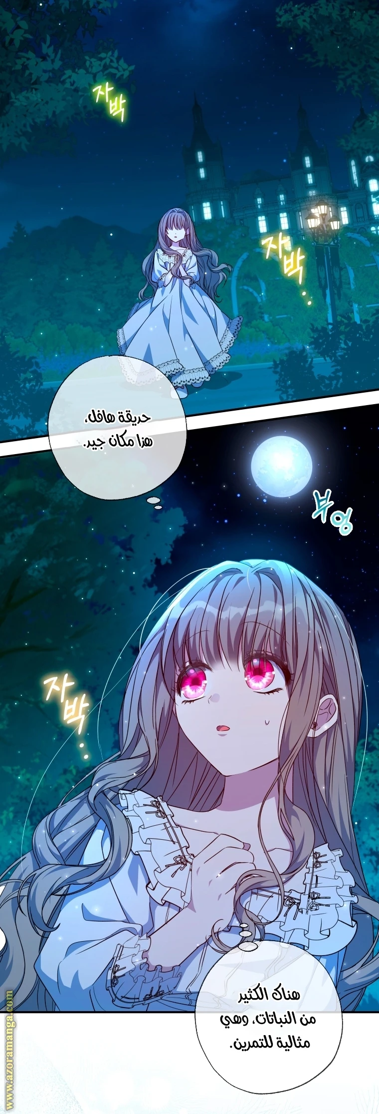الصفحة 12