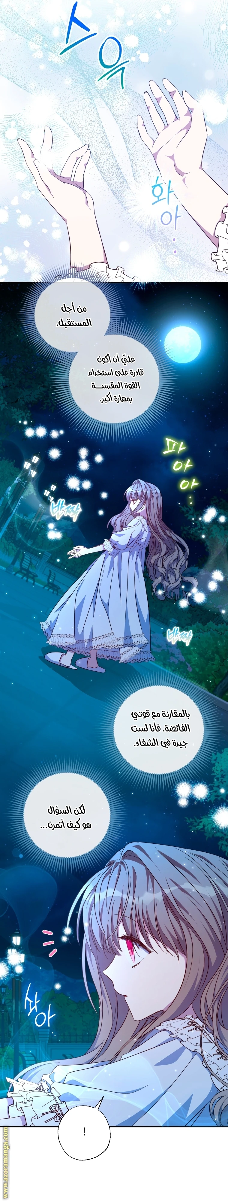 الصفحة 13