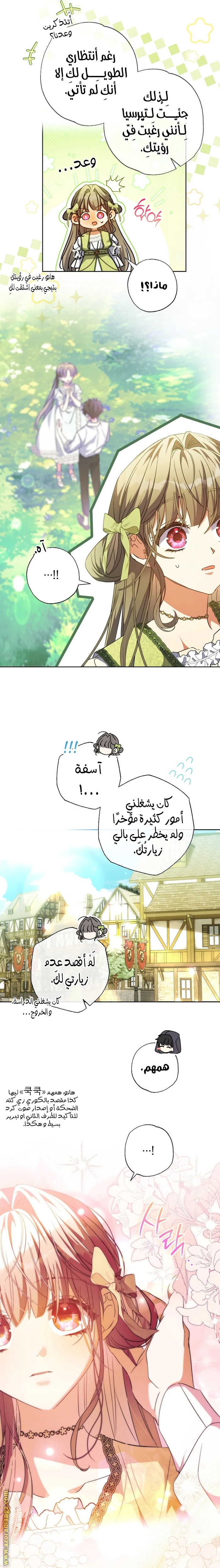 الصفحة 13