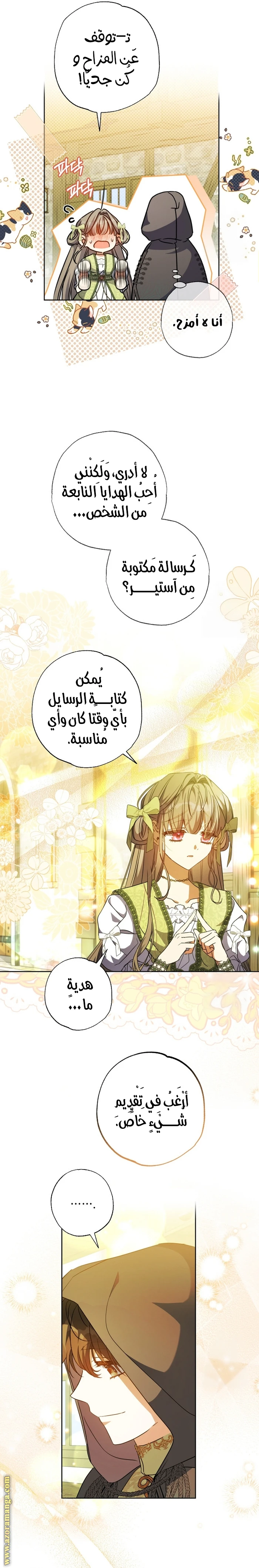 الصفحة 17
