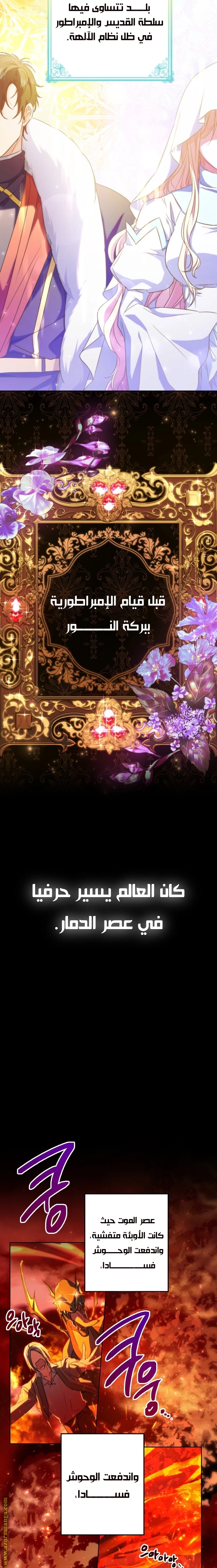 الصفحة 14