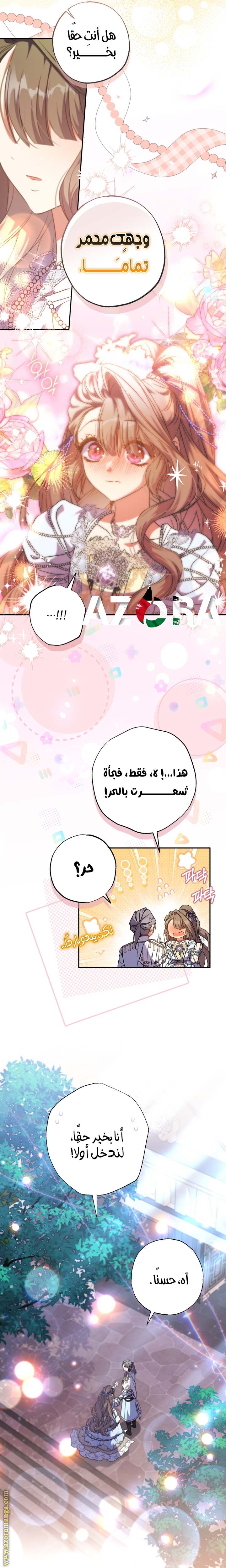 الصفحة 17