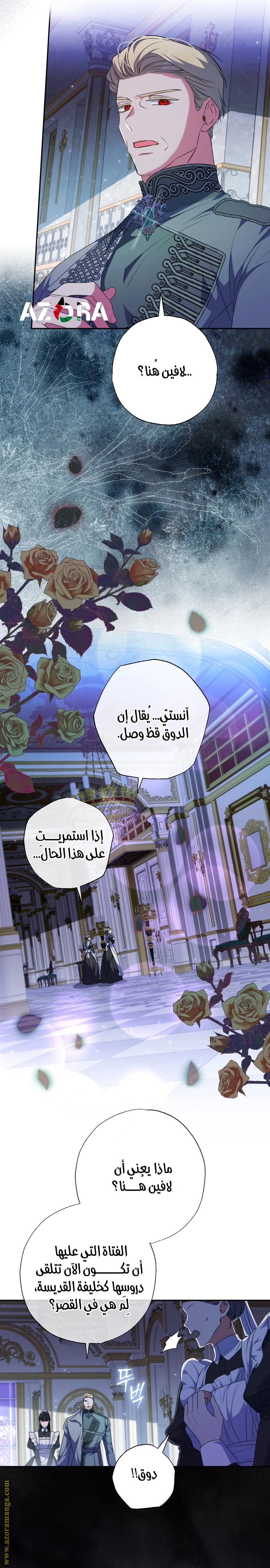 الصفحة 17