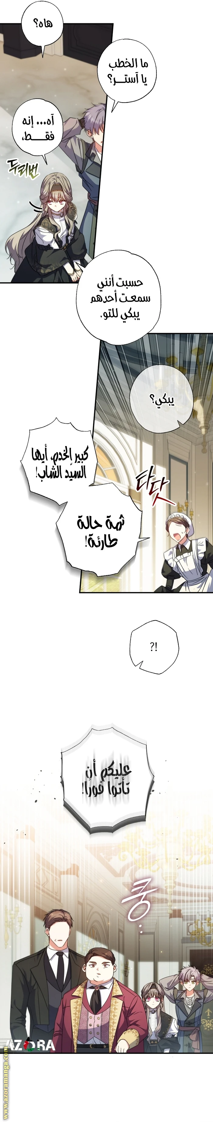 الصفحة 17
