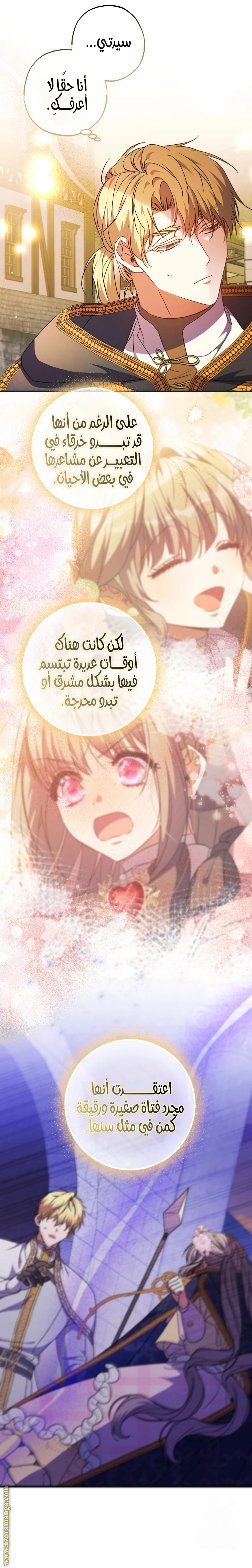 الصفحة 12
