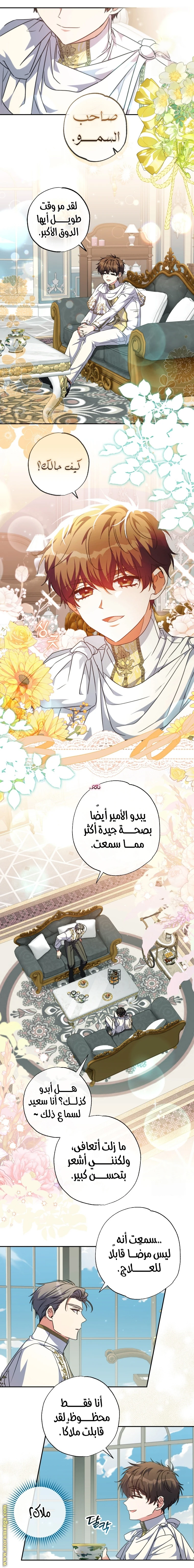 الصفحة 15