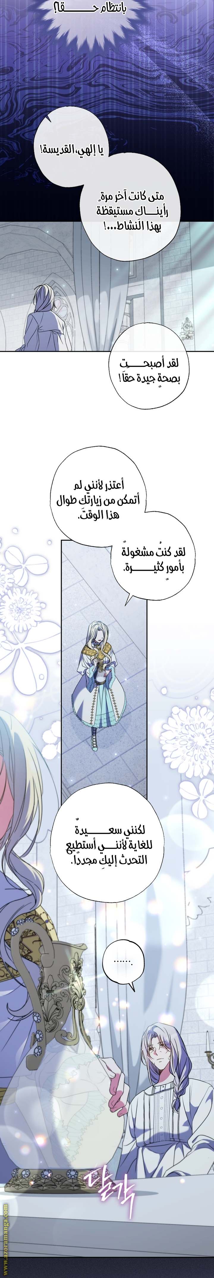 الصفحة 17