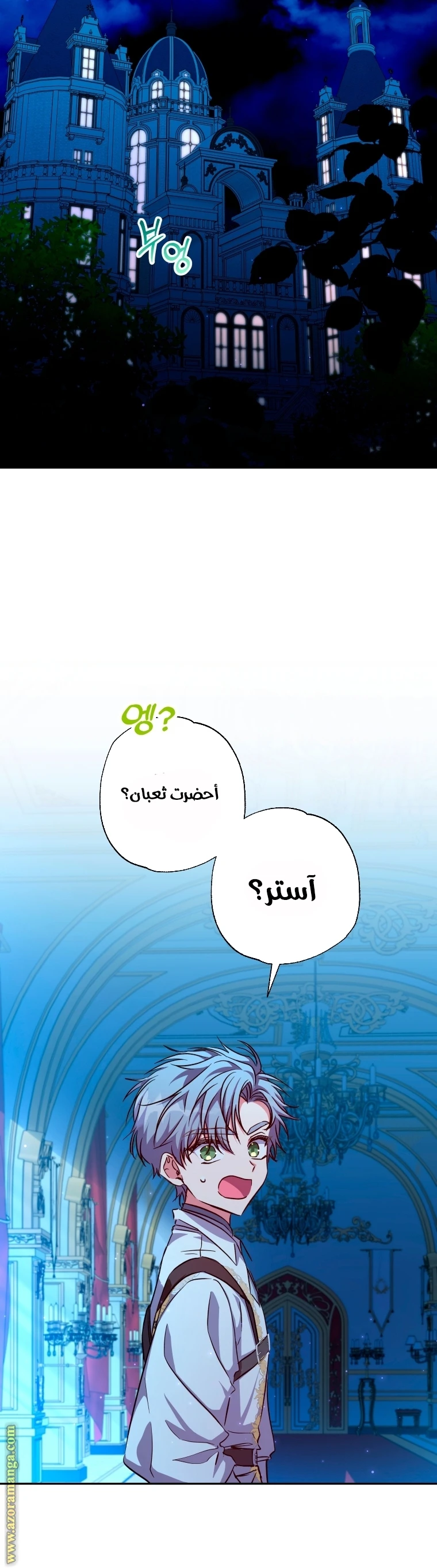 الصفحة 13
