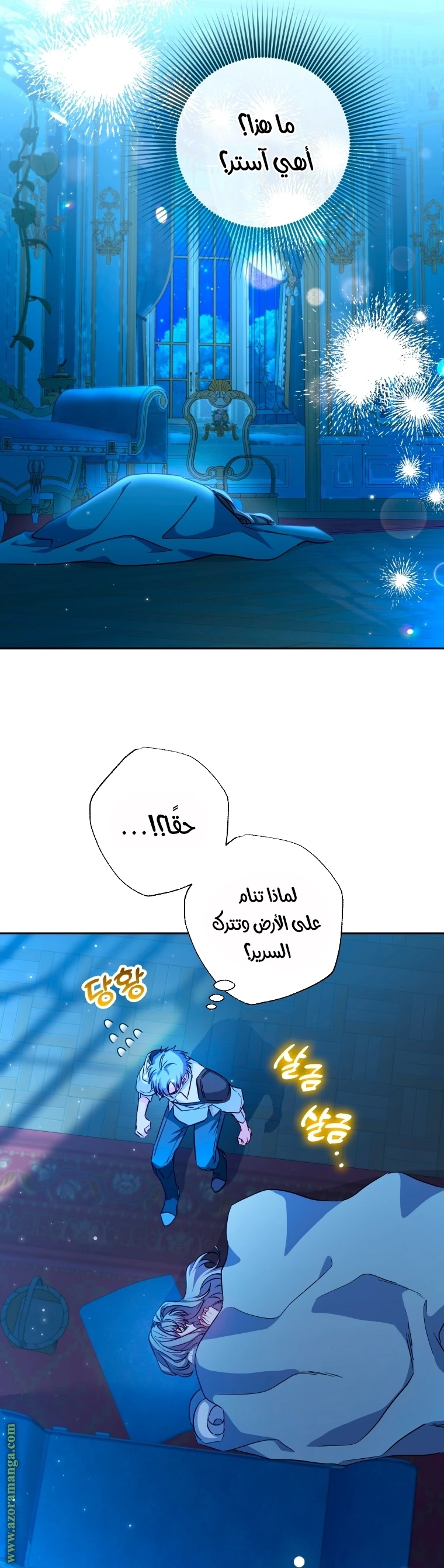 الصفحة 17