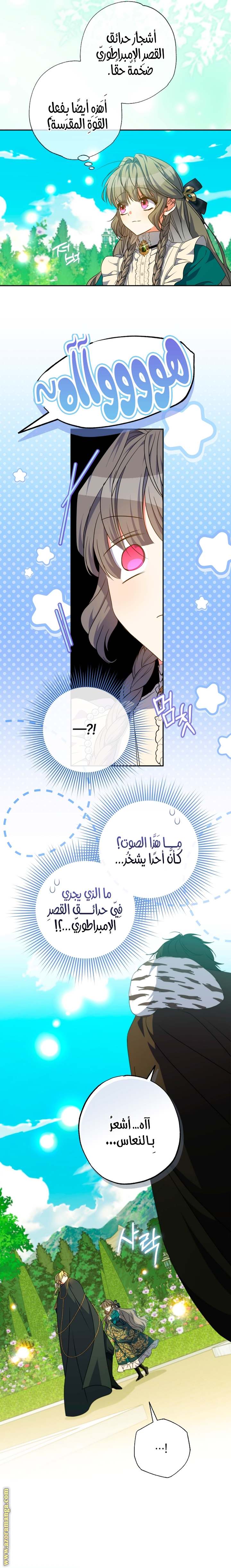 الصفحة 21