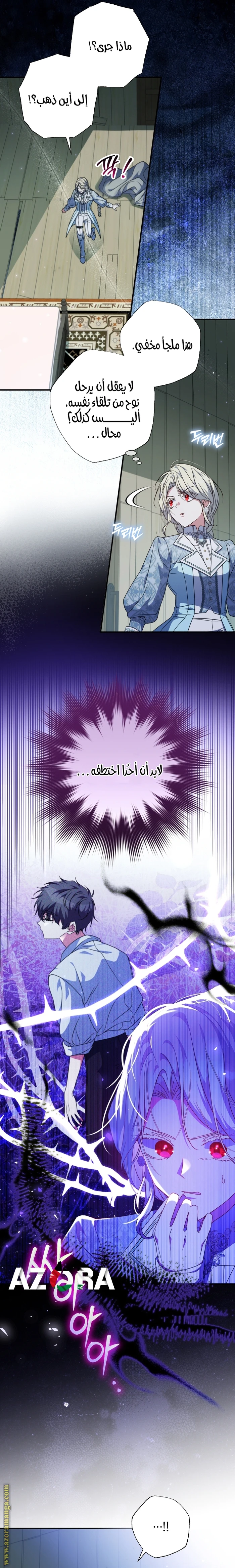 الصفحة 13