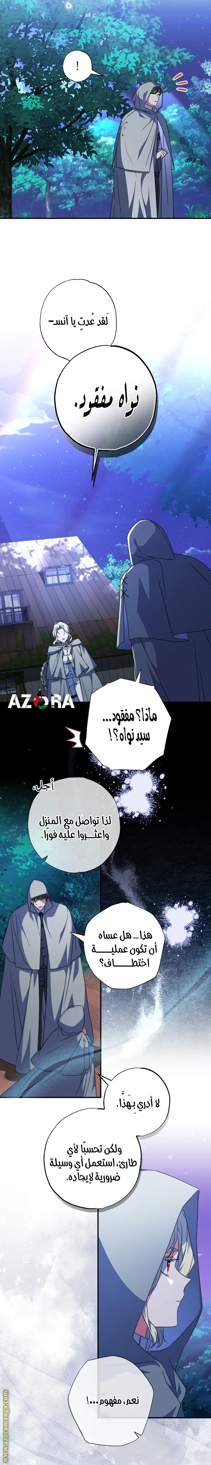 الصفحة 17