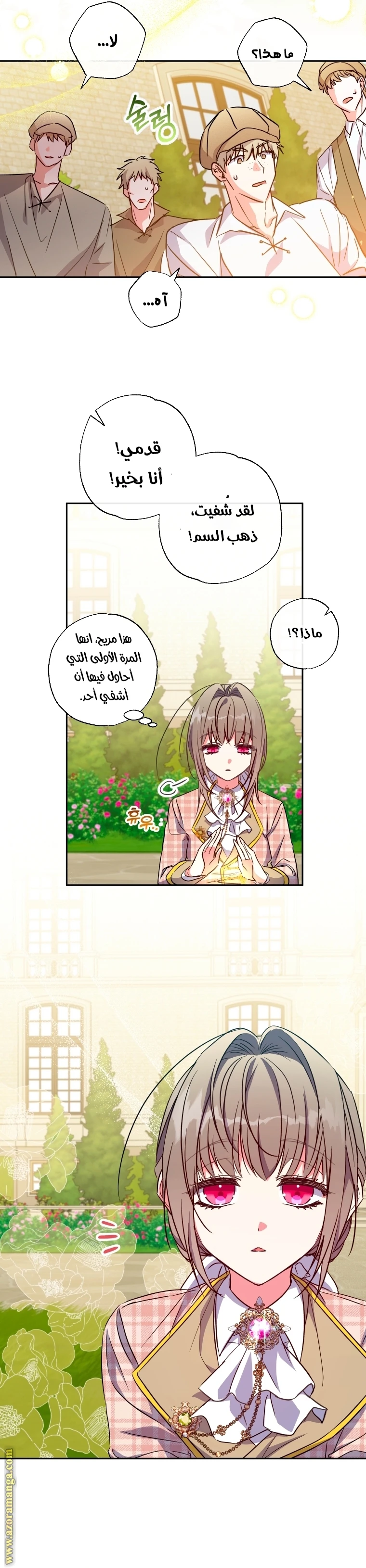 الصفحة 19