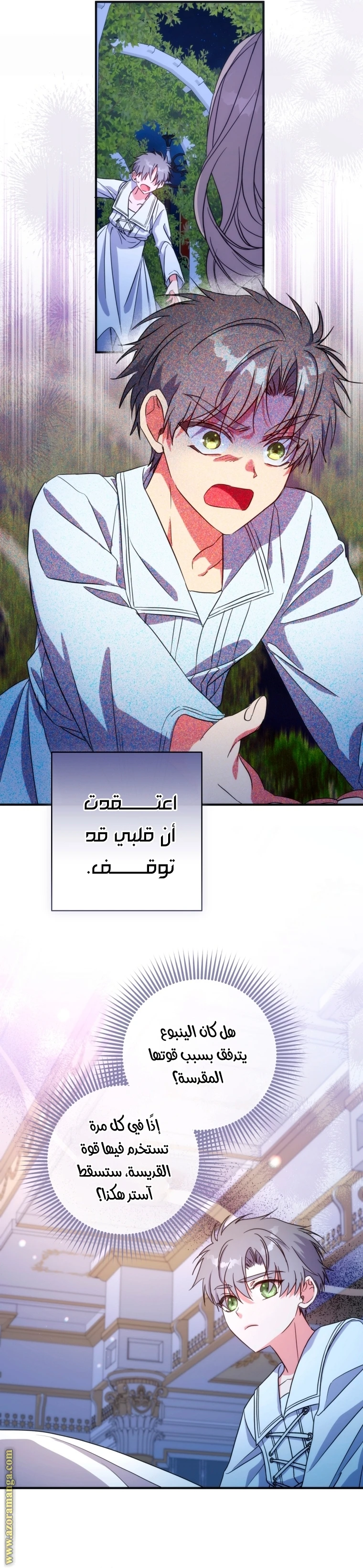 الصفحة 13